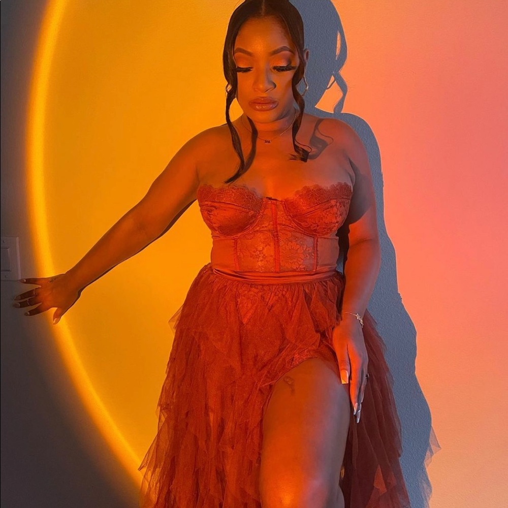 Revolve bustier gown (Love and Lemons)